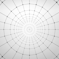 Wireframe Polygonal Element. Abstract Background 