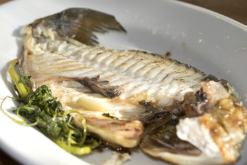 sea bream at the wine