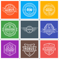 Set of Hipster Vintage Labels, Logotypes, Badges