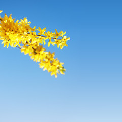 Der Frühling ist da