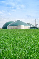 Biogasanlage im Hochformat, davor grünes Getreidefeld