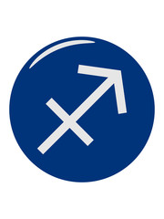 Sagittarius horoscope sign zodiac signs