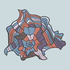 Marine hand drawn shell. Sketch cut-out vector illustration.