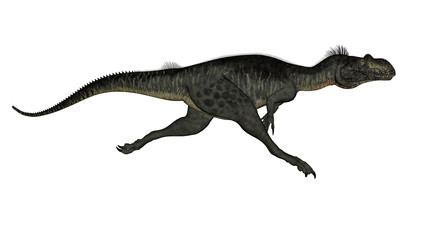 Obraz na płótnie Canvas Megalosaurus dinosaur - 3D render