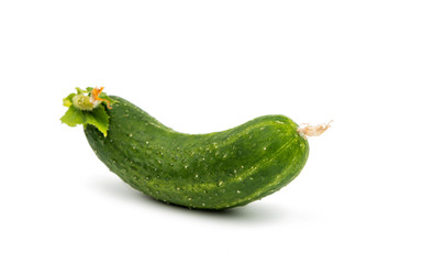 green cucumber