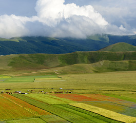 Piano Grande di Castelluccio (Italy)