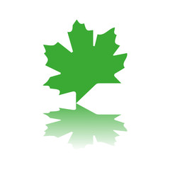 green leaves icon