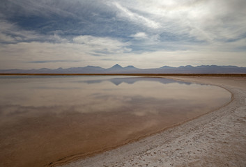 Laguna Cejar - d&eacute;sert de Atacama