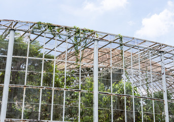 Old botanical building