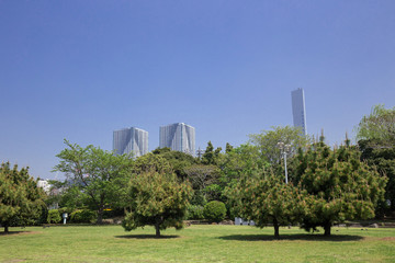 Obraz premium 晴海埠頭公園からの眺め