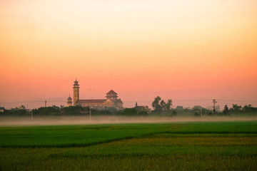 Fototapeta na wymiar Rice field in the early morning fog, Hanoi, Vietnam