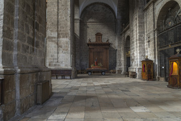 Fototapeta na wymiar Valladolid catedral