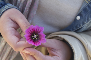 Hands holding a pink flower - Powered by Adobe