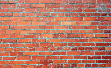 Brick wall background