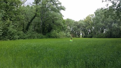 Promenade dans le blé