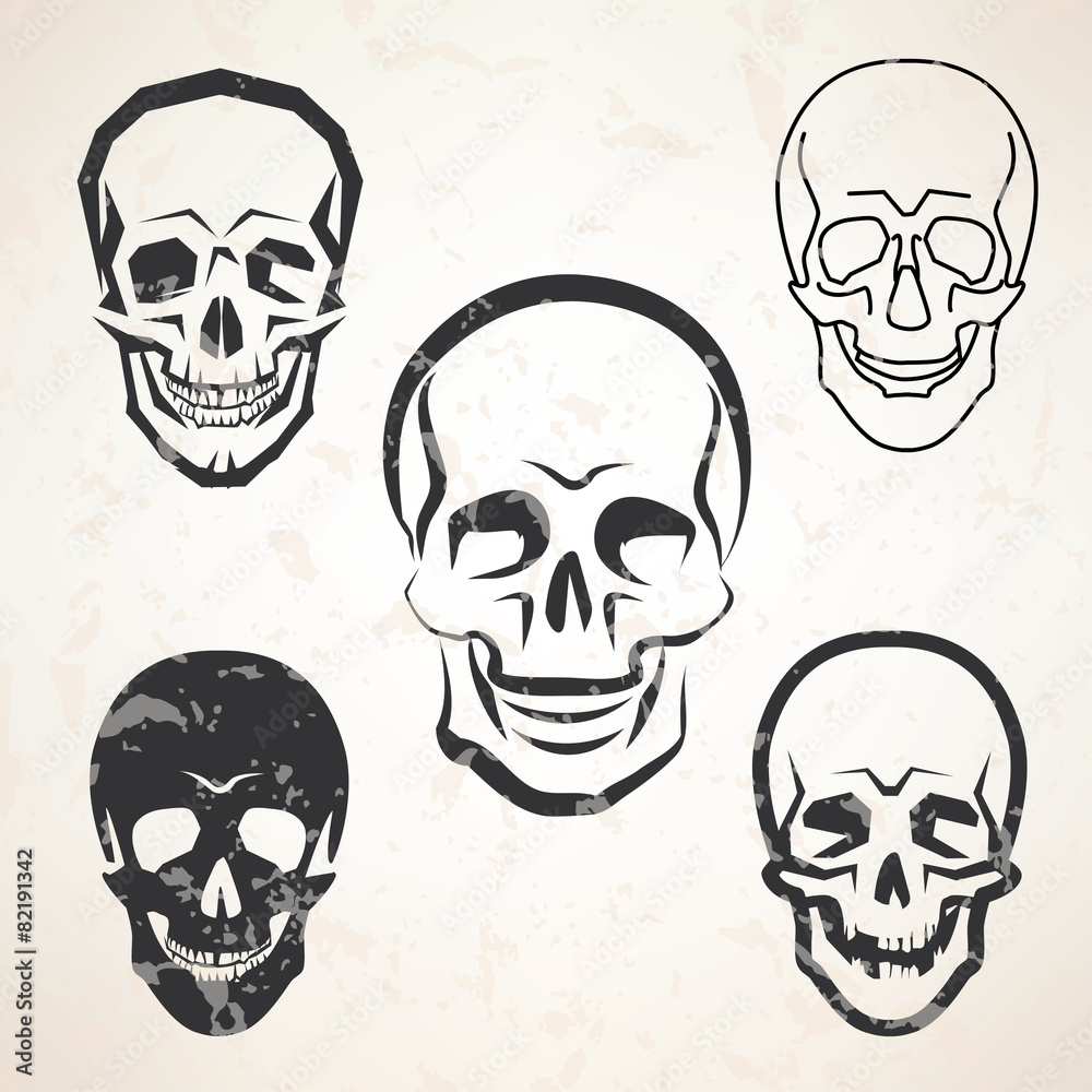Wall mural skull vector sketches set in different styles