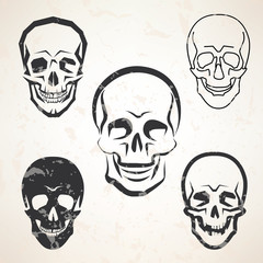skull vector sketches set in different styles