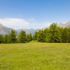 Fototapeta premium Italian Alps