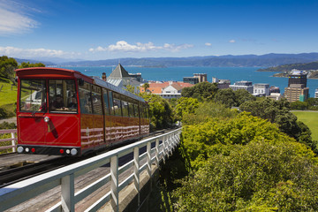 View of the Wellington, New Zealand © Curioso.Photography