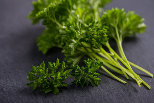 Spring garden parsley and dill on black slate  background