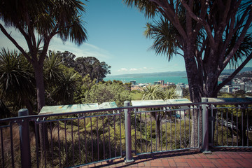 View of the Wellington, New Zealand © Curioso.Photography