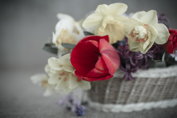 beautiful bouquet of spring flowers,