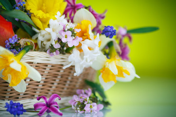 beautiful bouquet of spring flowers,
