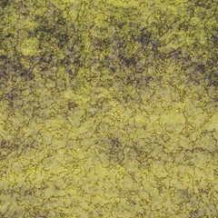 Rough plaster seamless generated texture