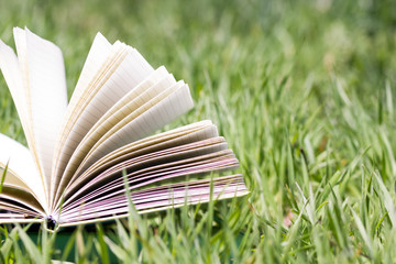 Summer spring backgound with stack of books and open book and bo