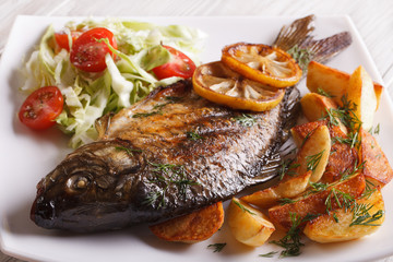fried fish carp with potato and salad on a plate