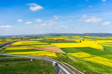 Aerial view of road passing through a rural landscape with bloom