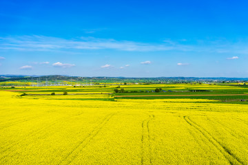Obraz premium aerial view rural landscape with blooming rape at the north Gree