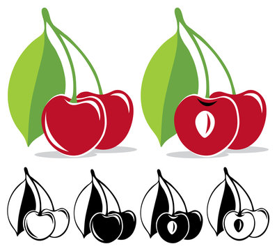 Vector cherries in color and black and white