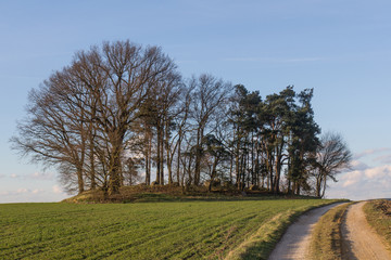 Fototapeta premium Hasenbuckl next to Schwandorf