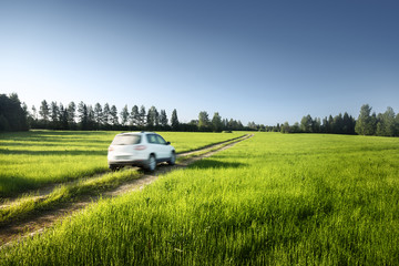 Obraz na płótnie Canvas spring field and blurred car on ground road