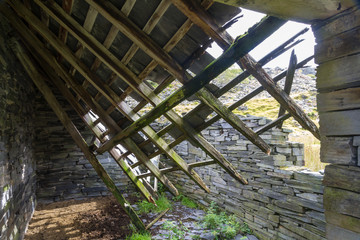 Ruin of stone cottage from within, United Kingdom