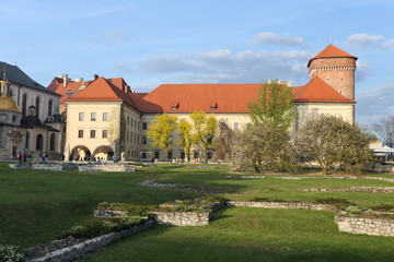 Fototapeta na wymiar Kraków - Zamek