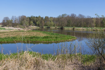 River Naab in Spring