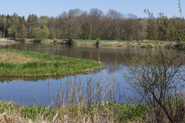 River Naab in Spring
