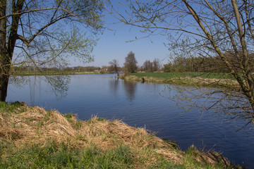 Fototapeta na wymiar River Naab in Spring