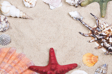 Fototapeta na wymiar Sea shells and starfishes over sand background