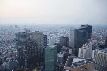 Fototapeta premium Skyline von Tokio