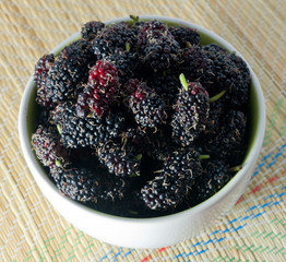 Delicious Ripe Mulberry in A White Bowl