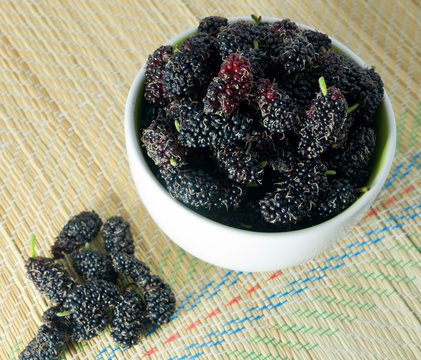 Delicious Fresh Mulberry in A White Bowl