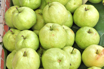 Guava fruit in the market