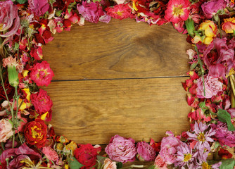 Frame of beautiful dry flowers on wooden background