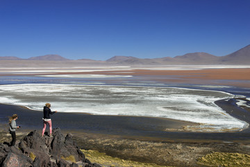 Fototapeta premium アルティプラーノ平原のラグーナ・コロラダ湖