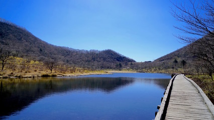 Obraz premium Wetlands and the wooden way