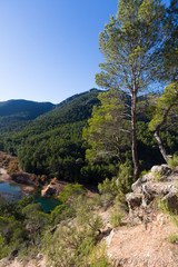 Fototapeta na wymiar Mountains river with forest riverside