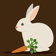 Healty Lifestyle design